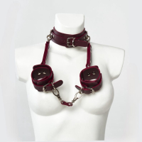 COLLAR AND LEAD