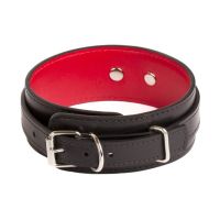 COLLER AND LEAD